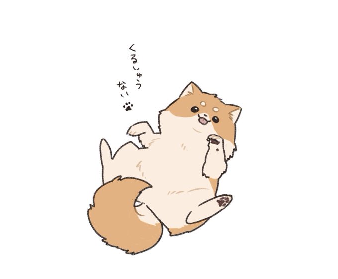 寒いなら大吉をモフればいいじゃない🐾 