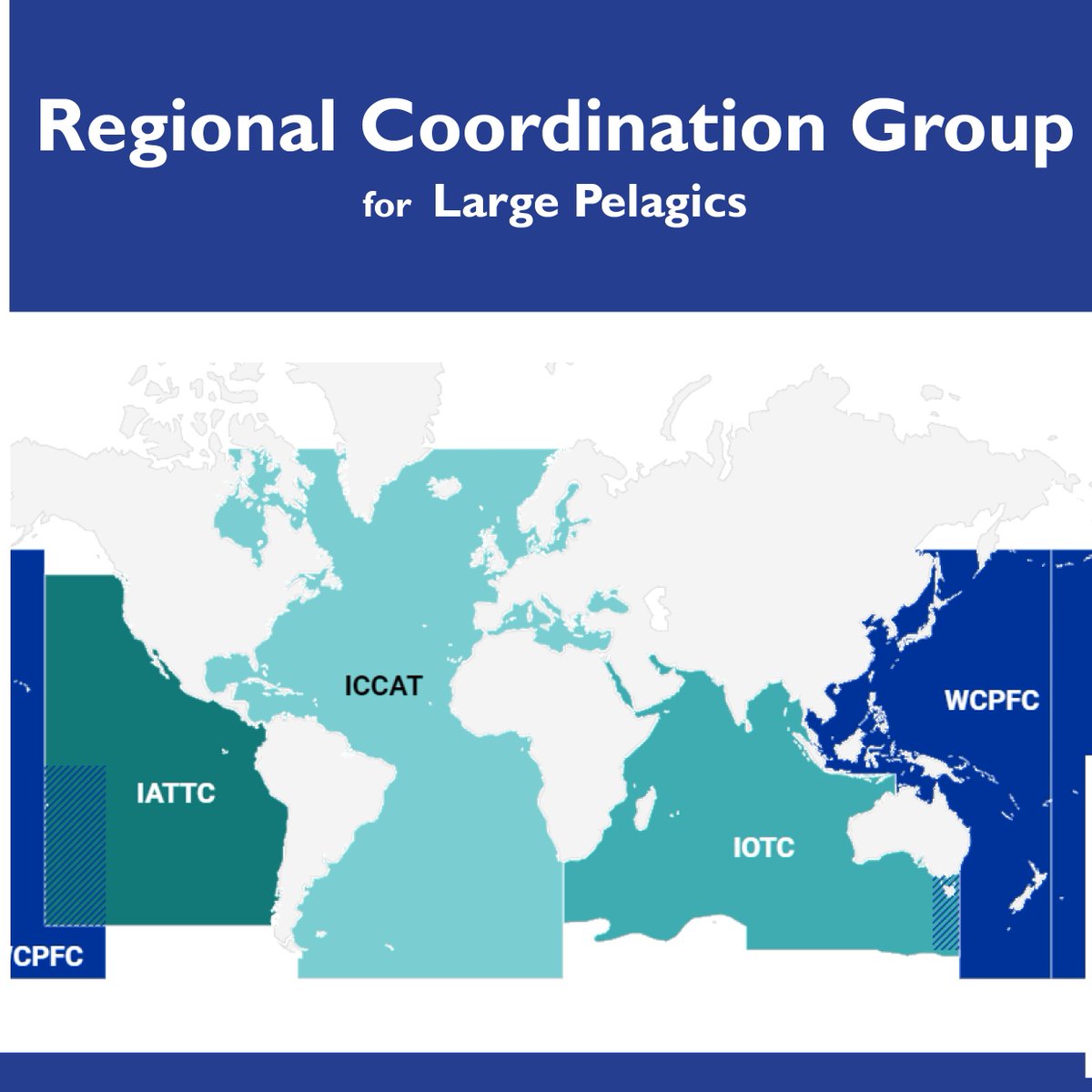 fisheriesRCG's tweet photo. Check where, who and what the RCG Large Pelagics works for:
👉🏽 https://t.co/v1B6zAr9pj
👉🏽 https://t.co/wyLR5O4qaf
#FIsheriesDCF #EUMAP #EMFF #DataCollection #fisheriesRCG https://t.co/ndXeLsQASC