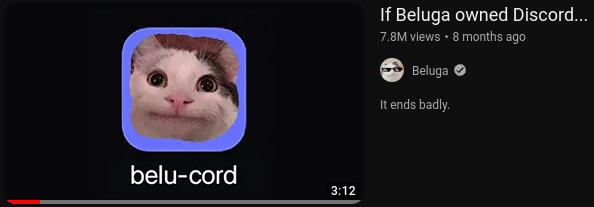 Ippoko1's tweet photo. @discord wait discord has a cat is it beluga? lel https://t.co/ZoQuwpmWET