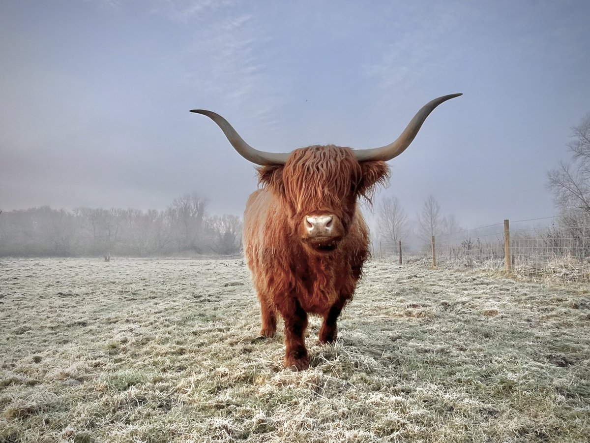 WalkingTractor tweet media