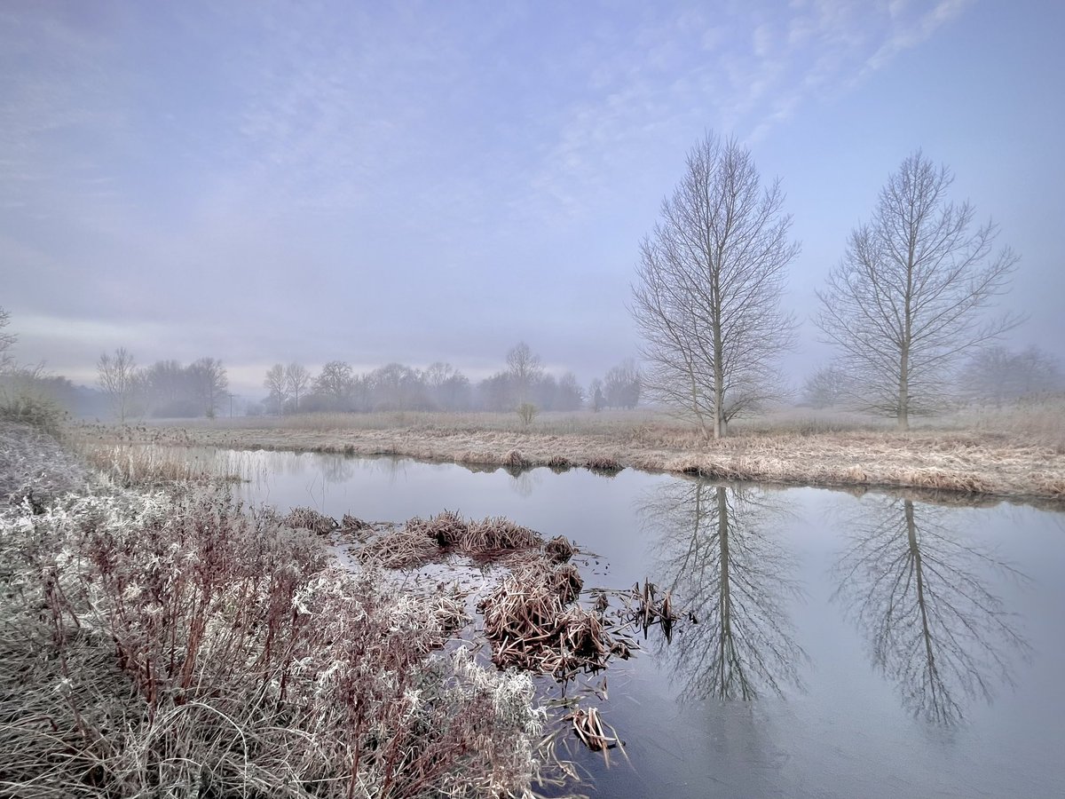 WalkingTractor tweet media