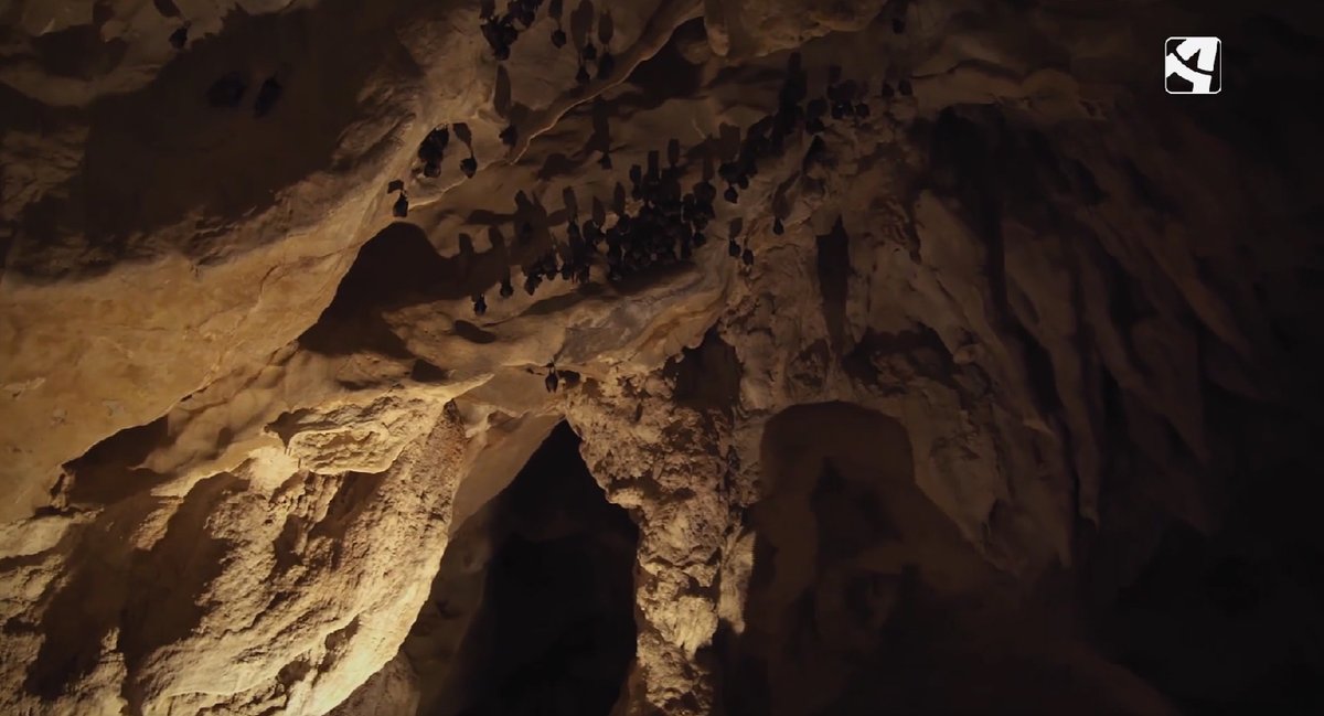 CSantiagoAragon's tweet photo. ¡Nos adentramos en la #CuevadeLasGuixas! El programa "Gigantes Blancos" de @aragontv visitó la mágica cueva de #Villanúa 🧙♀️🦇
🔺 La guía Andrea Dumall explicó el comportamiento de las grutas en un invierno atípico como este: https://t.co/mz6JO3WmzV #CaminodeSantiago #Aragón https://t.co/9XbXrLKhPY
