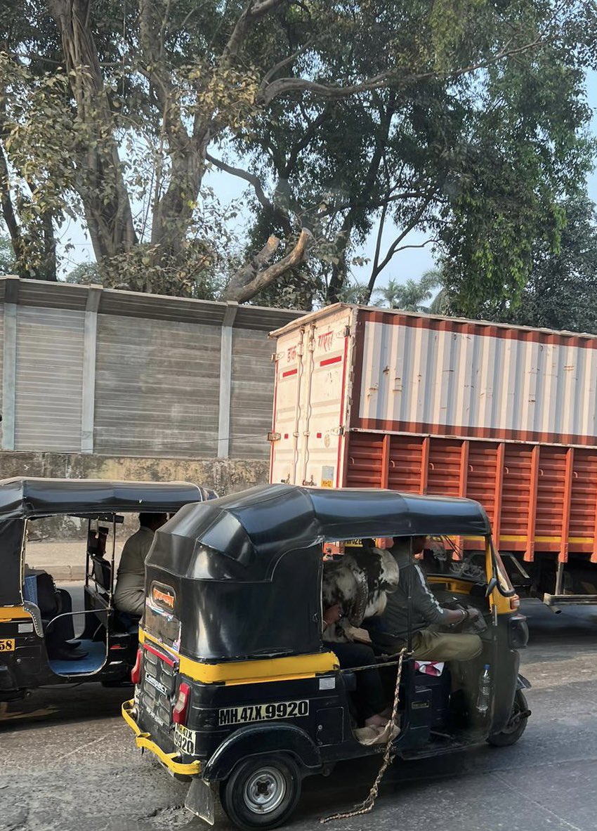 Caroline Cooper tweet media