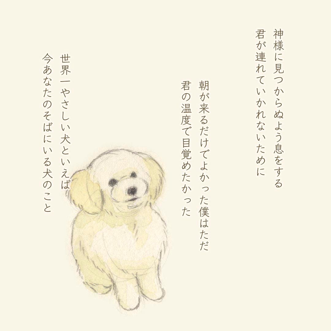 昨年の秋に実家に白い子犬が来たのですが、その子のゆるゆる短歌を作るのが最近のブームです。 