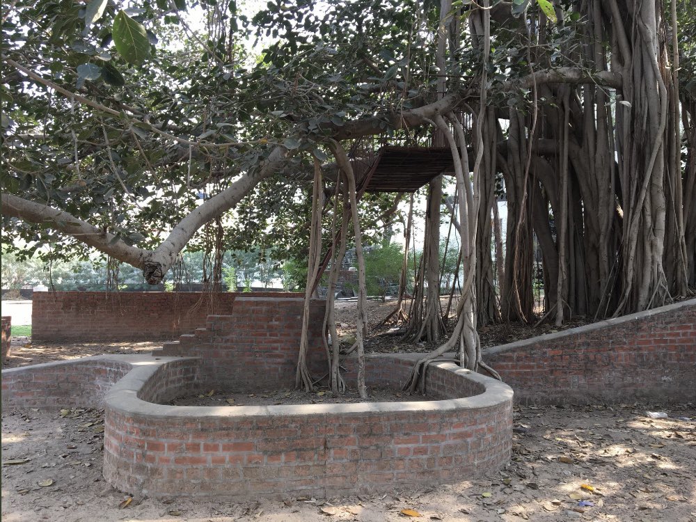 Patrick French tweet media