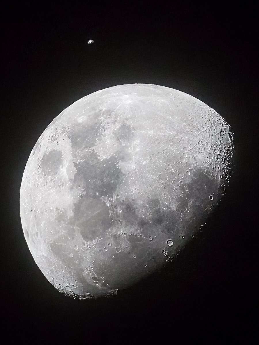 Eric Tollner | Red Earth tweet media