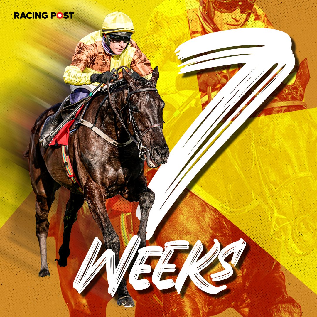RacingPost's tweet photo. 🚨 7⃣ WEEKS UNTIL THE 2023 CHELTENHAM FESTIVAL 🚨 https://t.co/YoSI7h9W75