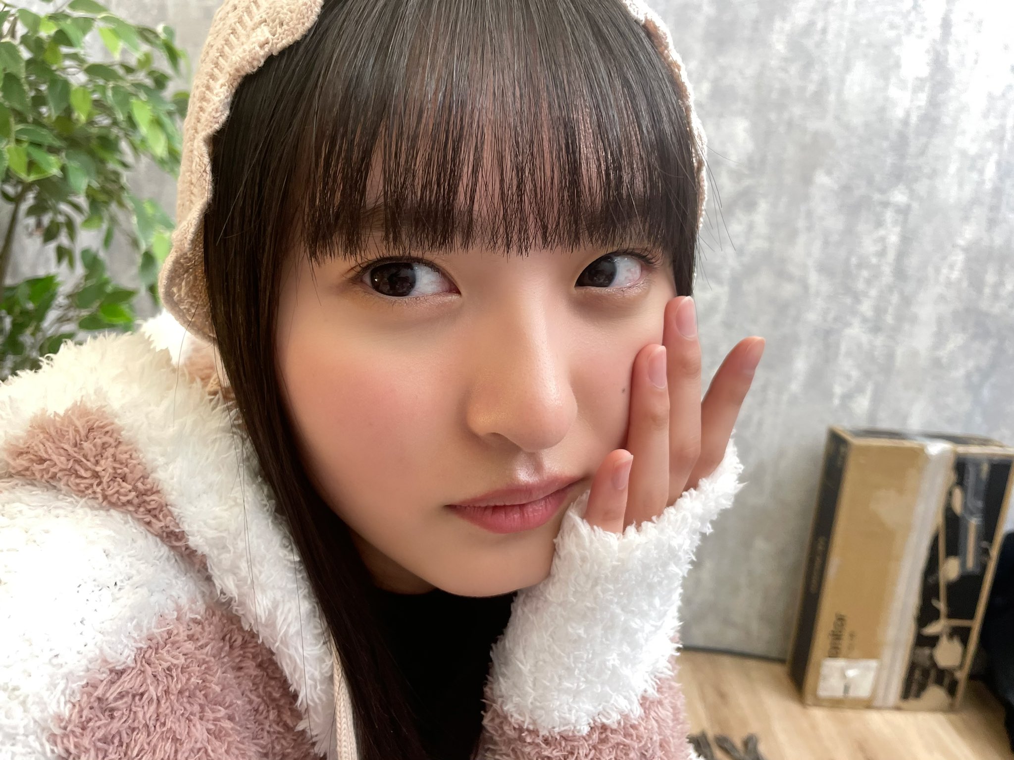 乃木坂46写真集 乃木撮VOL.03【公式】 (@nogisatsu) / X