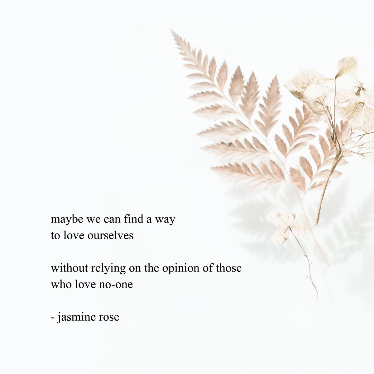 tigerfishfish's tweet photo. I've started a new Instagram page to share more of my life and encourage me to be more creative - if anyone is interested it's @ jasminerosepoetry ❤ https://t.co/pyff9A1pi0