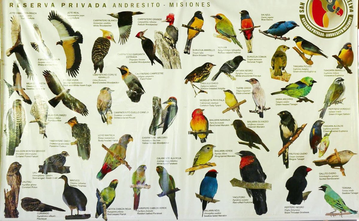 alluringfacts tweet picture