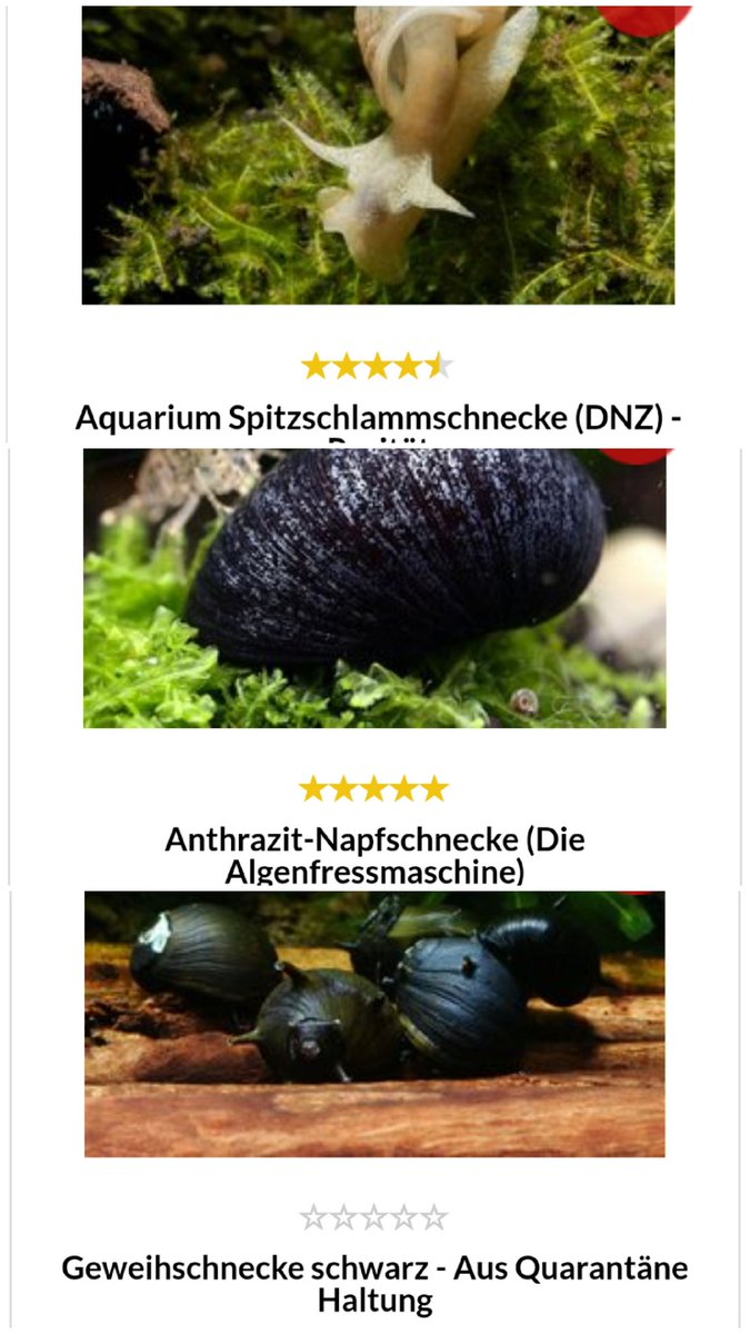 Mina Athene tweet media