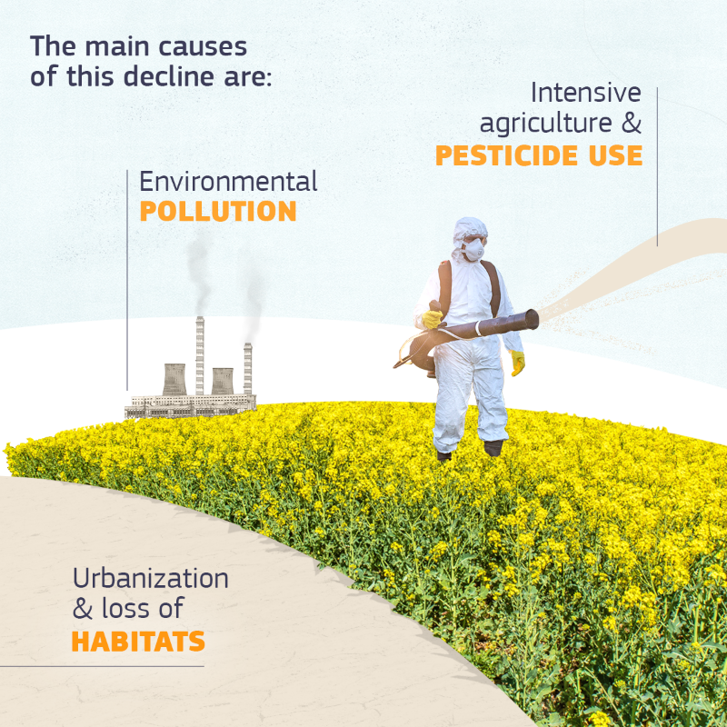 EU_Commission's tweet photo. Pollinators are in unprecedented decline.

Our biodiversity and food security depend upon them.

The revised EU Pollinators Initiative sets objectives and priorities for 2030, including improving pollinator conservation and tackling the causes of their decline. ↓

#EUPollinators