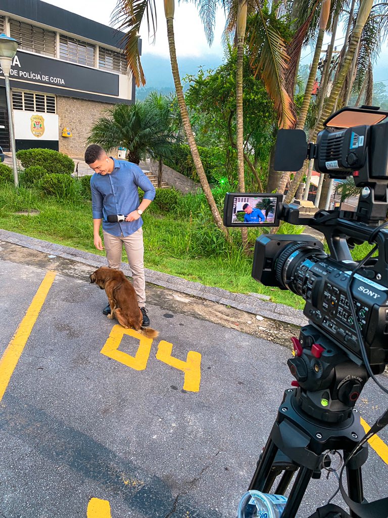 Marcos Guimarães tweet media