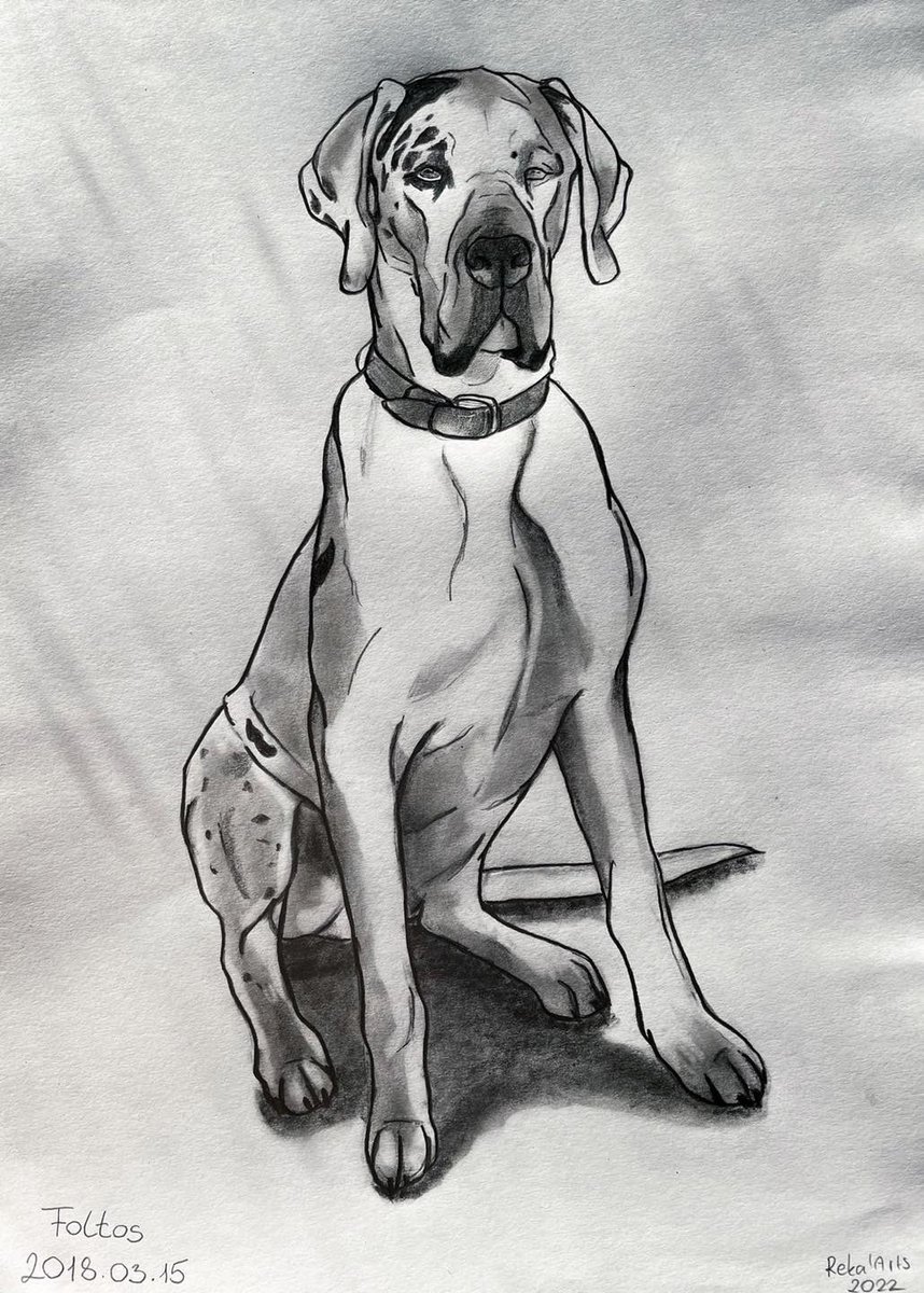 RekaArts's tweet photo. https://t.co/FjqfzP6Ucq #draw #dog https://t.co/CSzk7EhTO9