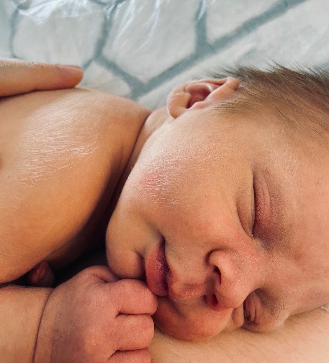 Patrick Allies tweet media