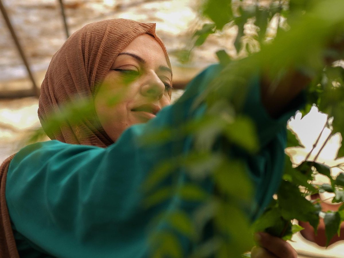 interregnextmed's tweet photo. 🇪🇺@CROSSDEV_Social helps establish "Umm Qais Women Tourism Association" in Jordan🇯🇴, a legal body formed by women involved in #tourism-related businesses

🤩A great initiative to empower local women and provide a comprehensive experience for tourists

🔗https://t.co/KrIx43rZQv https://t.co/jAGkAXd8jY