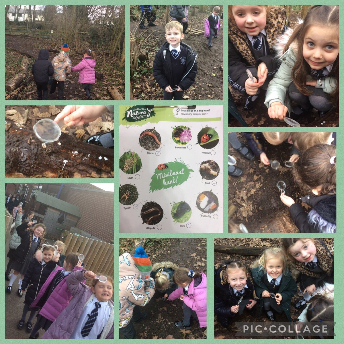FPS_1_Giraffes's tweet image. Yesterday we went on a minibeast hunt in our forest and labelled the three parts of an insect 🐜 Ask us some facts about insects #fpsscience