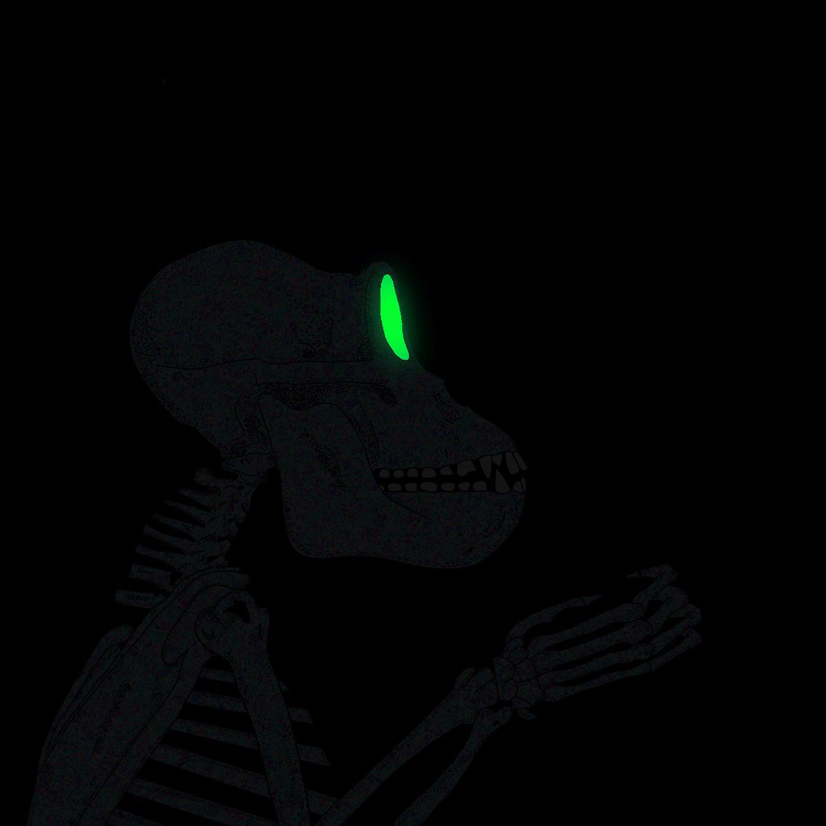 dazedchimps's tweet photo. Don‘t forget to secure your whitelist spot, chimp! still early🦍🤫 https://t.co/9B25RqutCs