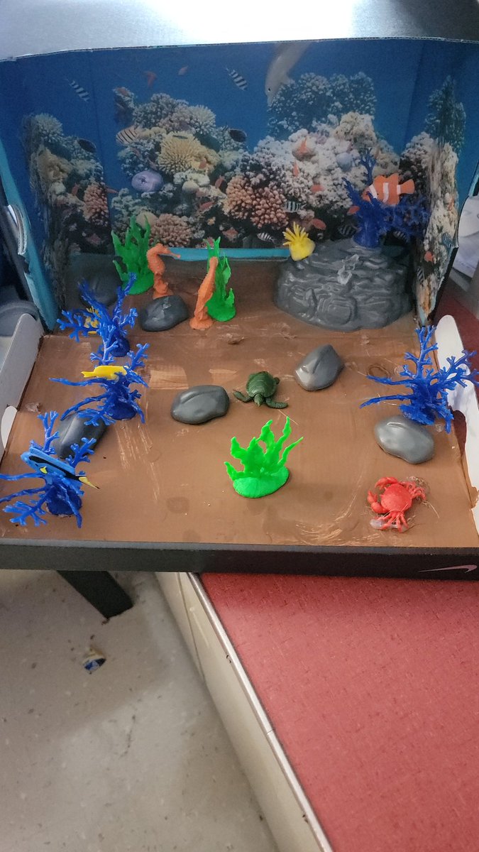 5th Grade Ecosystems @LHESMustangs #iteach5th