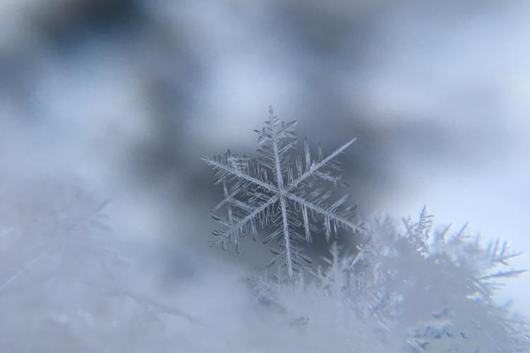 Due to inclement weather South Plains Mall will have adjusted hours today, January 24, 11am - 6pm. Please contact anchor stores, restaurants and the theater before venturing out.