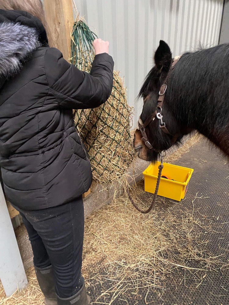 CedarbankSchool's tweet image. Meadow enjoyed spending time with this fabulous pupil yesterday - what a great way to start the week! @Ponieshelp #caringforothers #animalsareamazing