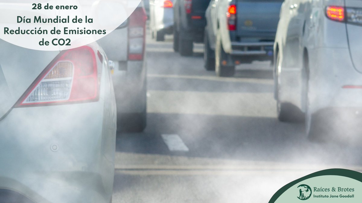 RaicesyBrotes's tweet photo. 🚗💨Hoy es el #DíaMundialPorLaReducciónDeLasEmisionesdeCO2 o #DíaMundialdelaAcciónFrentealCambioClimático .  Un día para tomar conciencia de que hemos de tomar decisiones que nos ayuden a frenar las emisiones y a mitigar y adaptarnos a los efectos del cambio climático. https://t.co/uYCWyINtYu