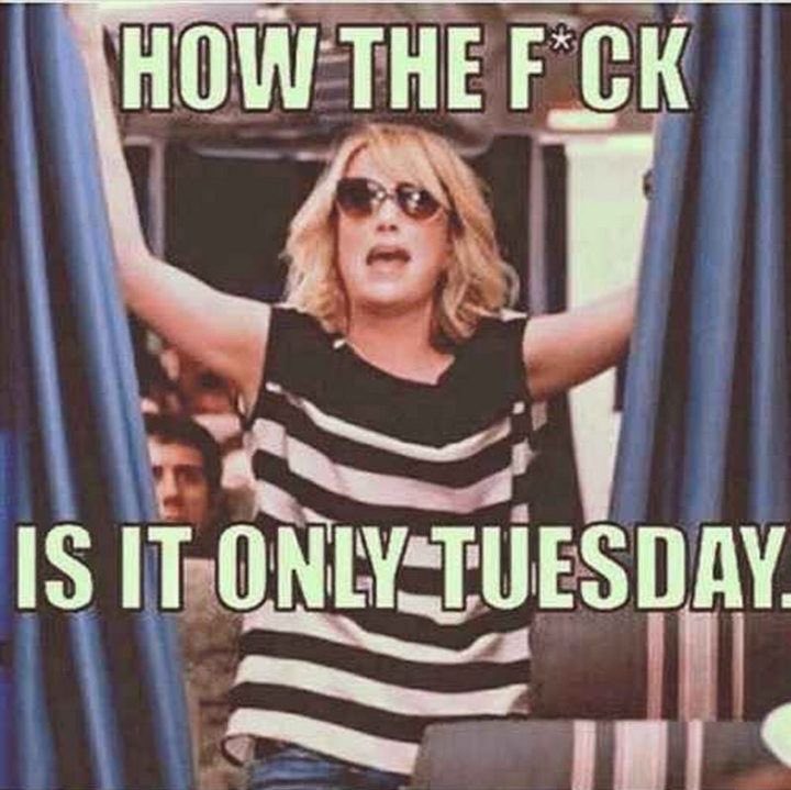 NerdyMom47's tweet photo. Welcome to #TriggeredTuesday
How many can I offend you today? 🤔 https://t.co/4aYC9ypDQE