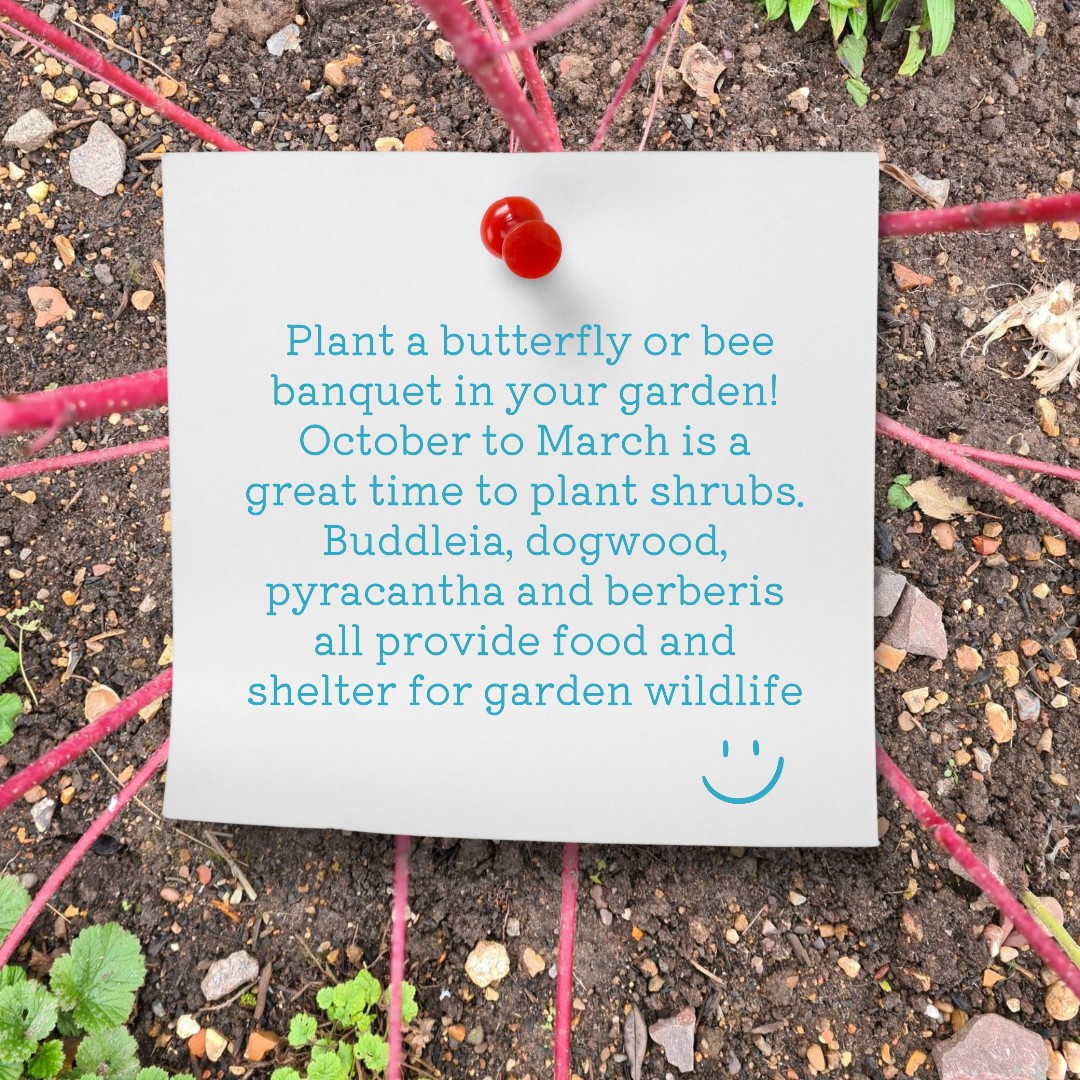 Garden Organic tweet media