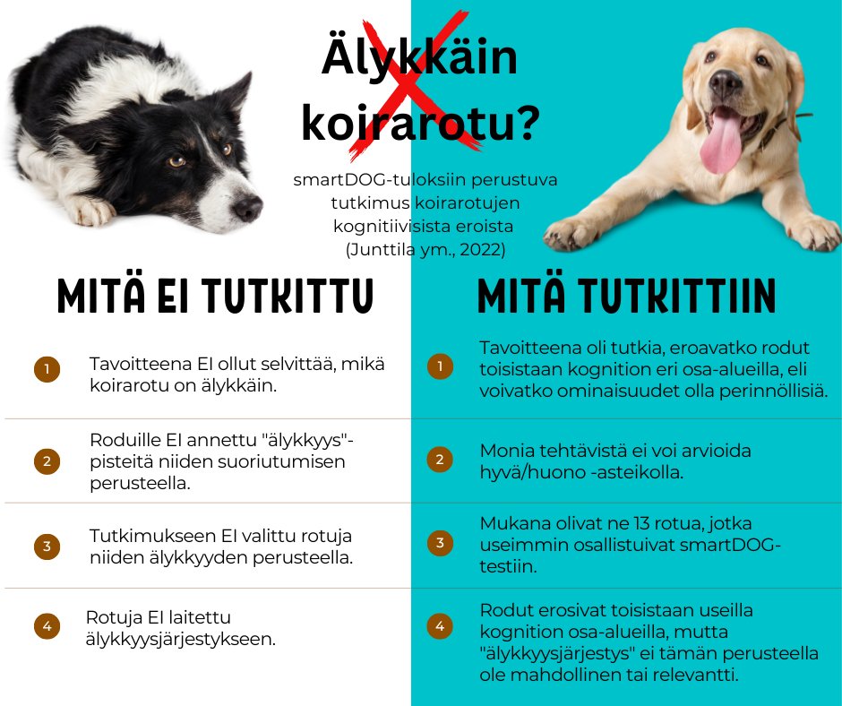 JunttilaSaara's tweet photo. Oletko törmännyt uutisointiin, jossa virheellisesti väitettiin suomalaisten tutkijoiden laittaneen koirarodut älykkyysjärjestykseen? Tämä on hyvä esimerkki siitä, miten tieteen popularisointi voi joskus mennä pahastikin pieleen. https://t.co/JLxAkHBSND