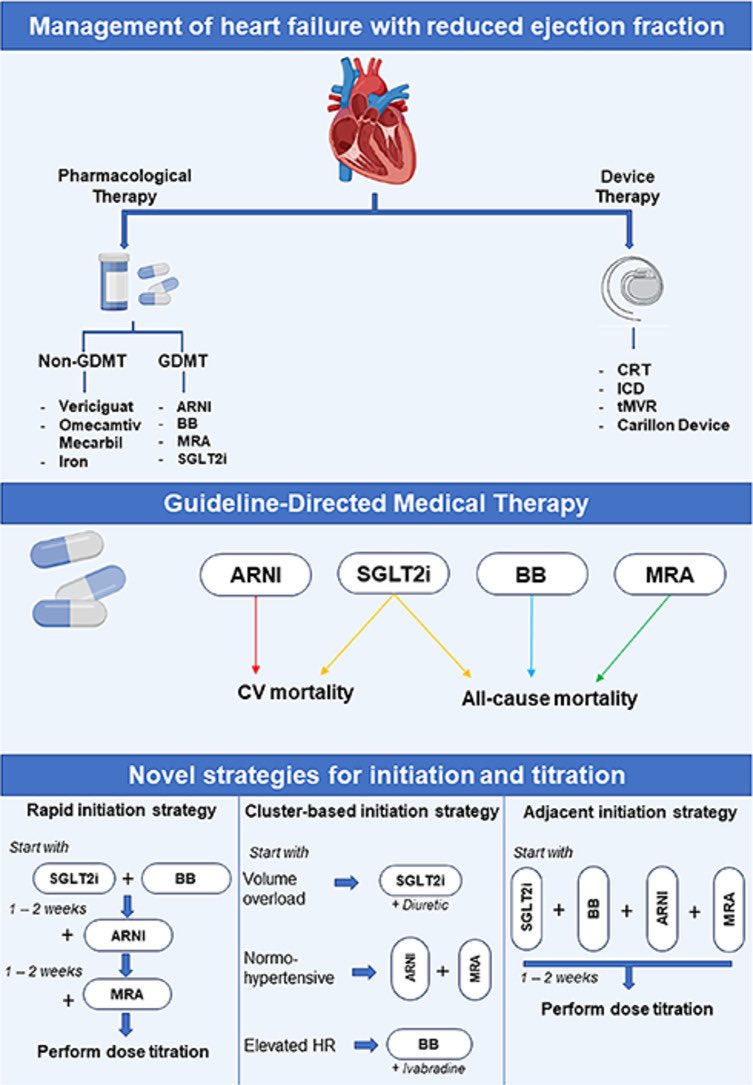 HanCardiomd's tweet photo. This review provides a comprehensive overview of drug and device management approaches for patients with HFrEF, and #GDMT in the management of patients with #HFrEF 

@JavedButler1 @SJGreene_md @ShahzebKhanMD @FudimMarat 

#CardioEd #HeartFailure 
https://t.co/0NbIpHUfFz https://t.co/oqBcGb5McD