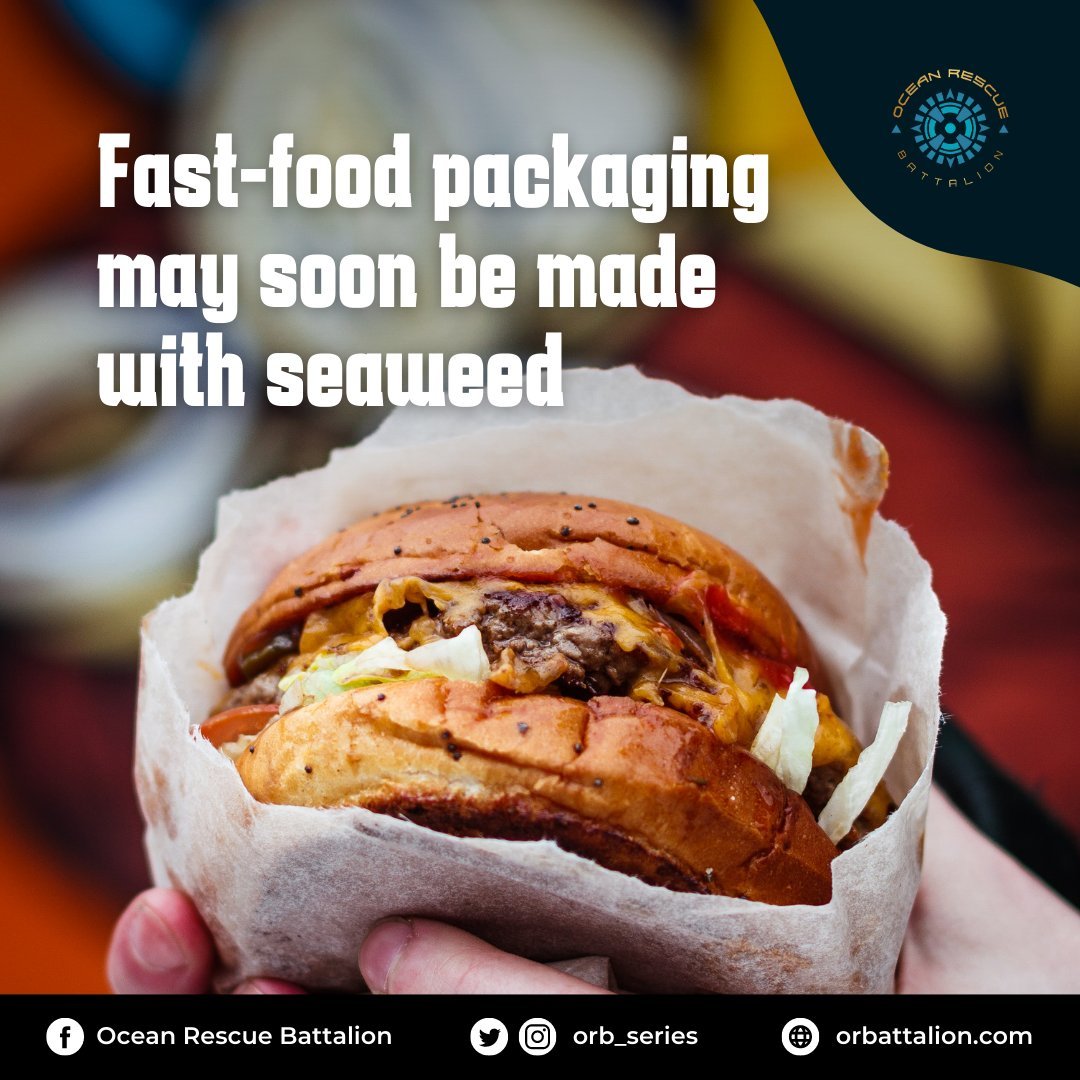 Seaweed was found to have properties that makes it ideal as a more sustainable option in creating fastfood packaging. Soon enough, we can enjoy a little treat while also helping save the planet! 

Read more here 👉 euronews.com/green/2022/10/…

 #ocean #sustainability #climatechange