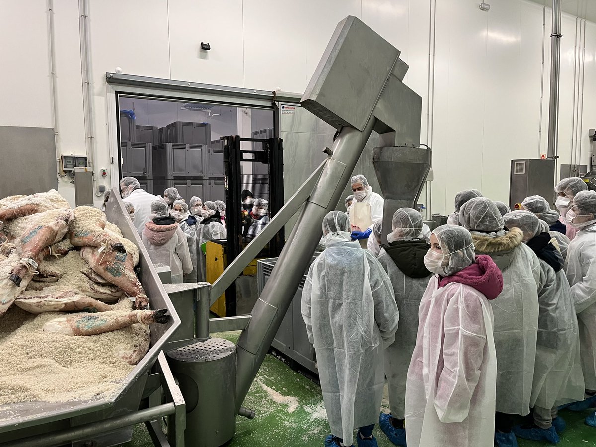 ceiplaladera's tweet photo. Los alumnos y alumnas de 4º y 5º de primaria, dentro del Programa "Empresa Familiar en las aulas", visitan la fábrica de Cárnicas Iglesias en Moríñigo para conocer el proceso de curación del jamón. Gracias por vuestro tiempo y el buen trato recibido @iglesiasSA @Pacoiglesiasgil https://t.co/YnZ7uWwdMP