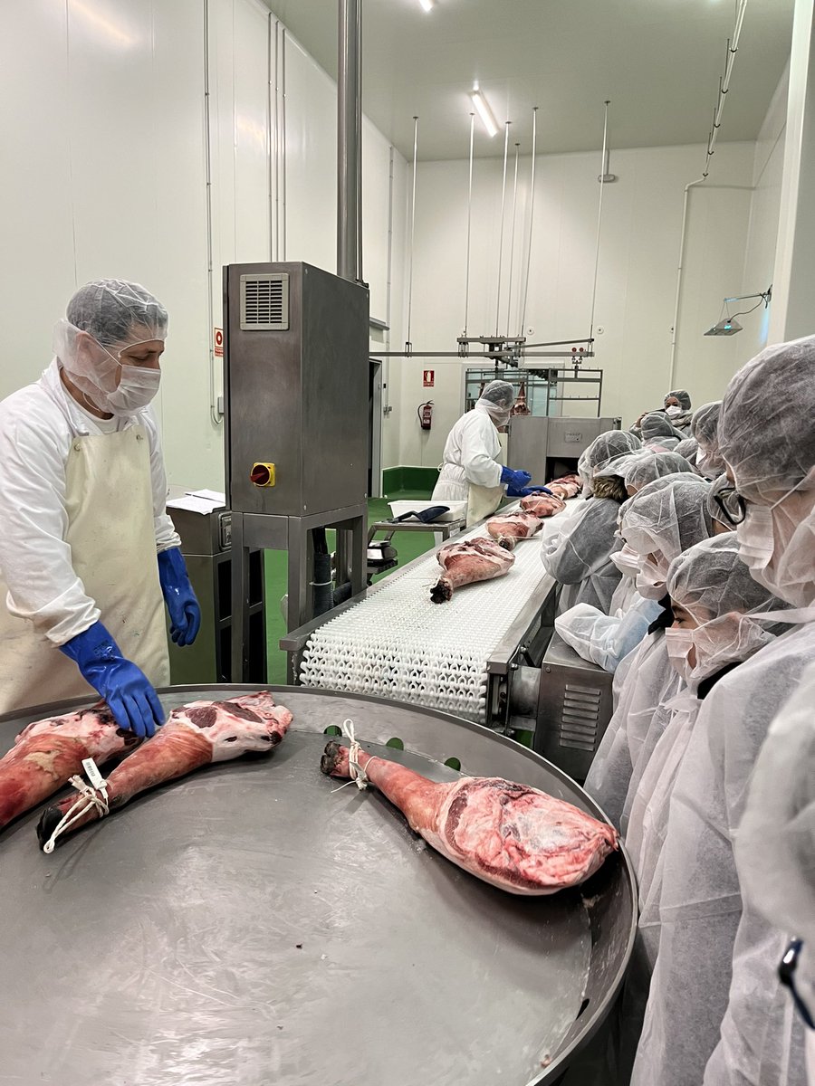 ceiplaladera's tweet photo. Los alumnos y alumnas de 4º y 5º de primaria, dentro del Programa "Empresa Familiar en las aulas", visitan la fábrica de Cárnicas Iglesias en Moríñigo para conocer el proceso de curación del jamón. Gracias por vuestro tiempo y el buen trato recibido @iglesiasSA @Pacoiglesiasgil https://t.co/YnZ7uWwdMP