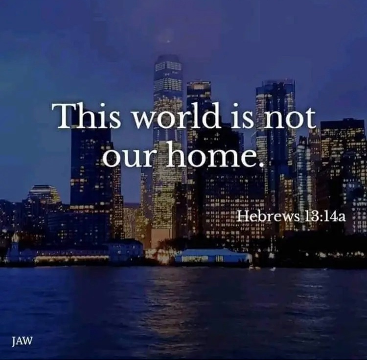 LungaMsii's tweet image. 