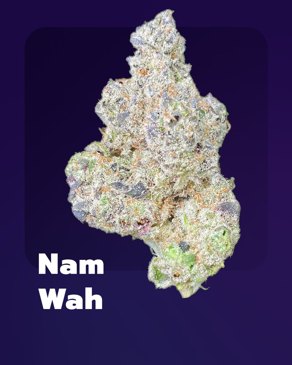 Groowers_io's tweet image. New sticky stuff straight out of the Groowers Labs 👀 

#Growing #Growers #StonerFam #weed #legalize #NFT #NFTGiveaway #NFTCommunity #Airdrop