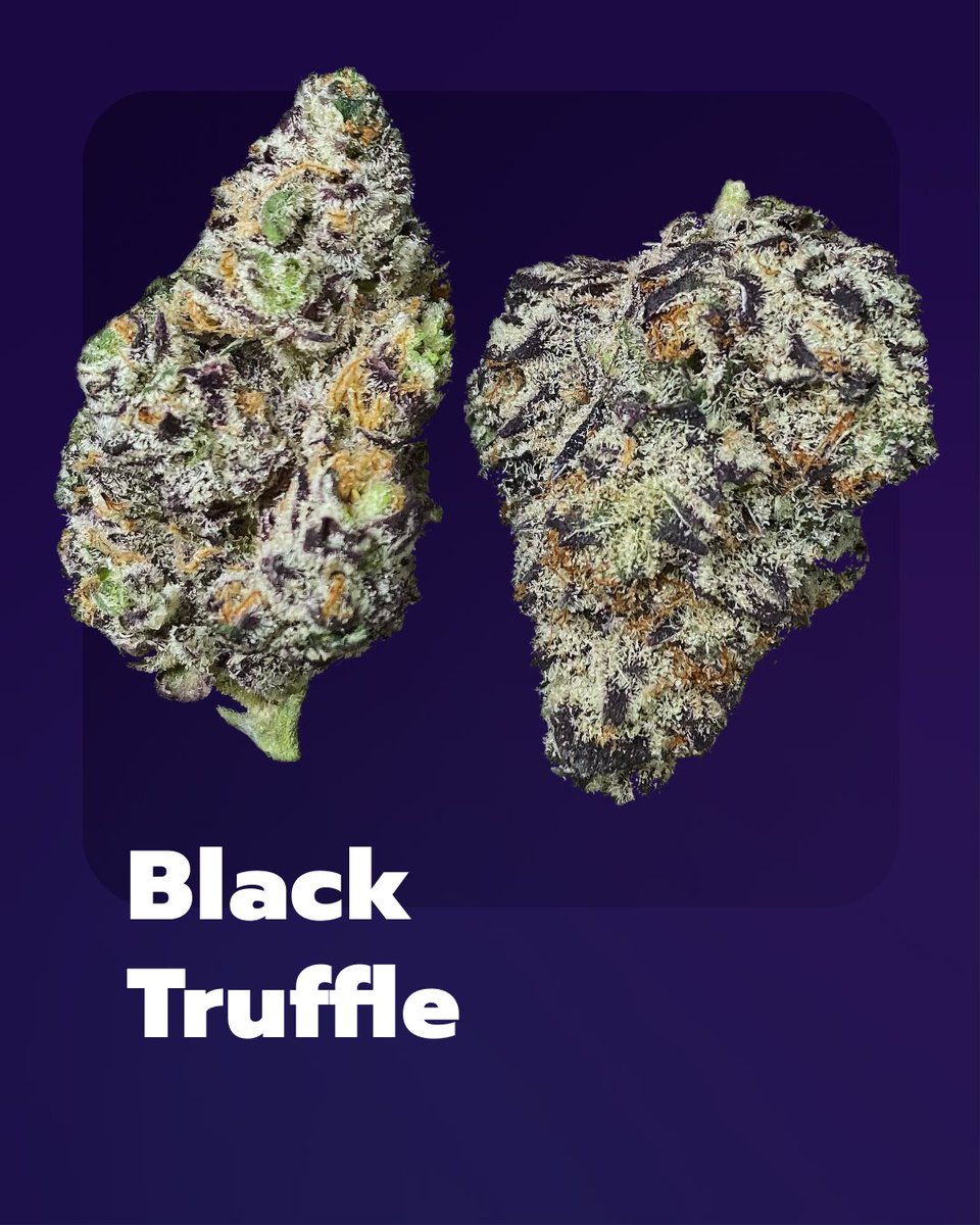 Groowers_io's tweet image. New sticky stuff straight out of the Groowers Labs 👀 

#Growing #Growers #StonerFam #weed #legalize #NFT #NFTGiveaway #NFTCommunity #Airdrop