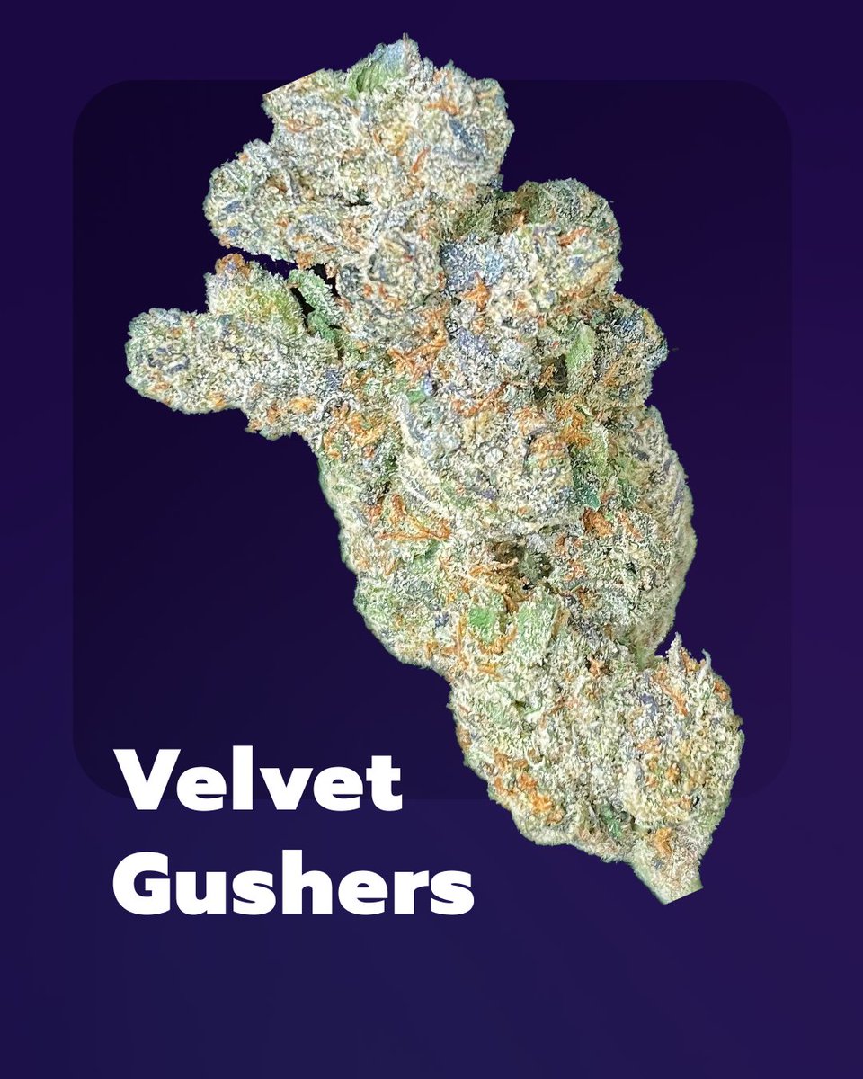 Groowers_io's tweet image. New sticky stuff straight out of the Groowers Labs 👀 

#Growing #Growers #StonerFam #weed #legalize #NFT #NFTGiveaway #NFTCommunity #Airdrop