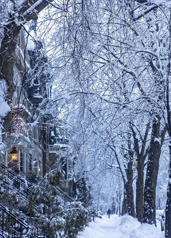 Monmontreal's tweet photo. Jamais assez de paysages enneigés ☃️😍

📷 @evablue #Montréal #MTLmoments  #PhotoduJour https://t.co/2PTWyLP2OF