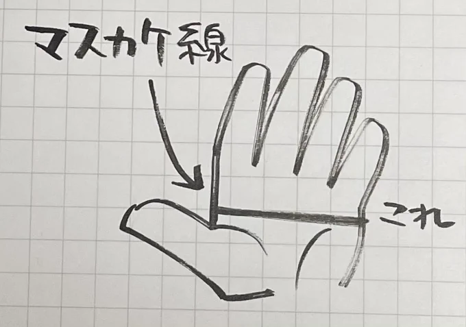 マスカケ線はこういうやつ。ド強運・天下取りの相だそうですよ。私はちなみに違います(笑)。

もしかしたら連載時はそこまで意識して描いてないかも。ここ数年は狙ってやってます。 