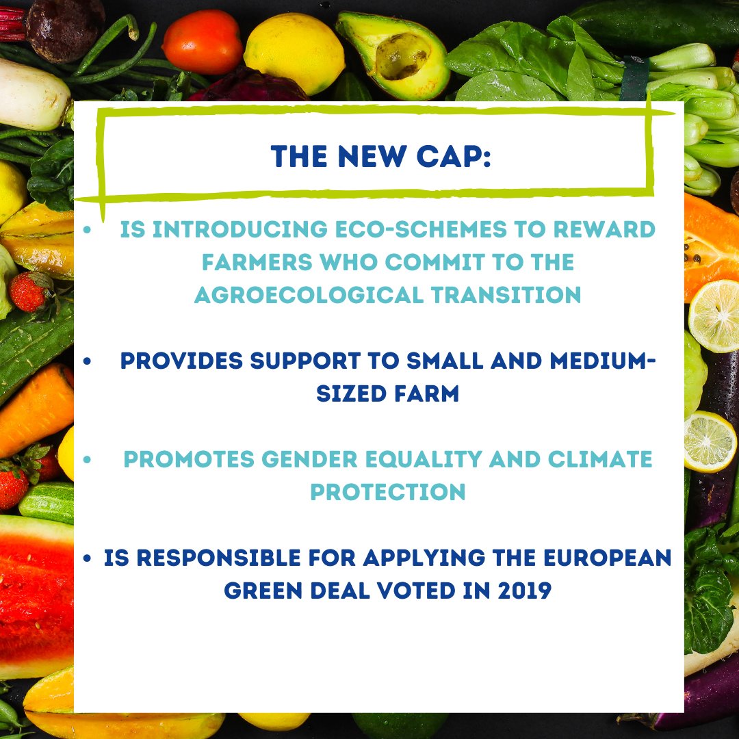 World Union of Wholesale Markets (WUWM) tweet media