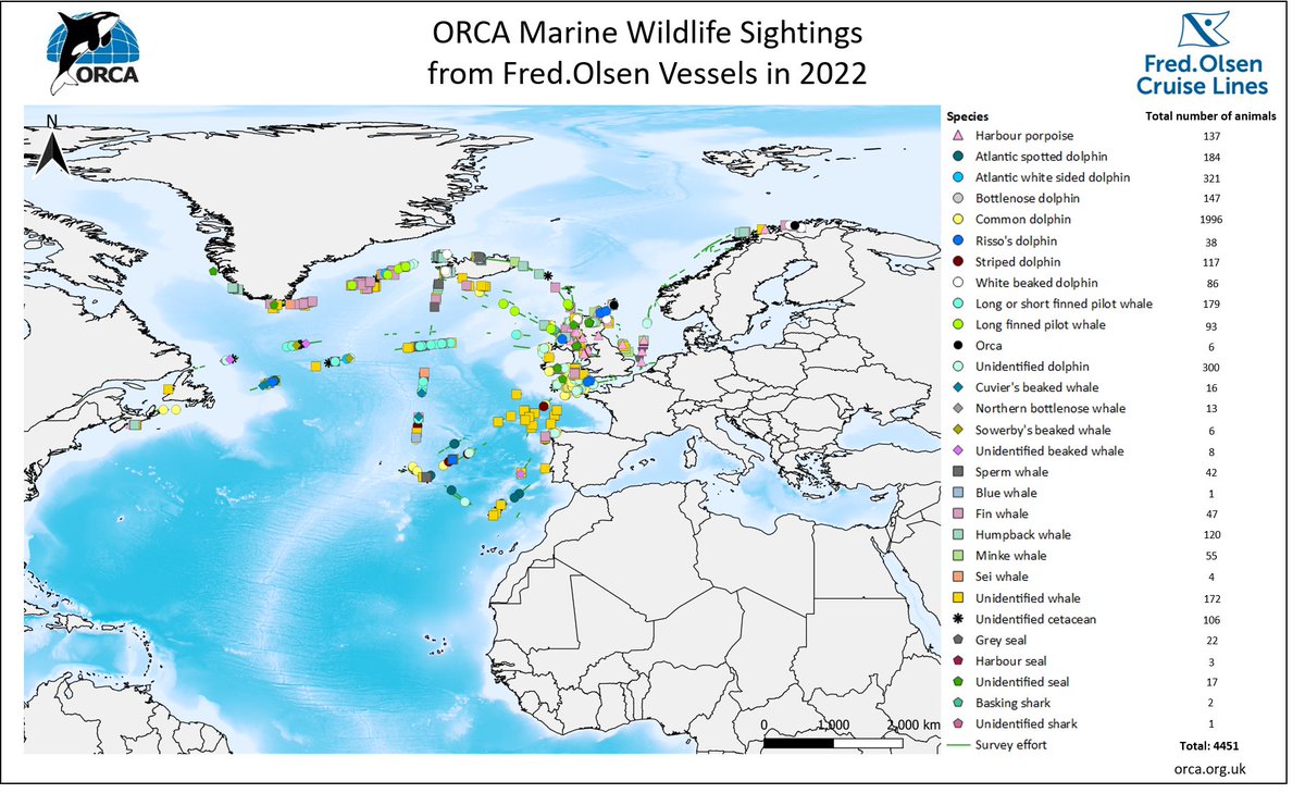 Guests aboard @FredOlsenCruise fleet made more than 4,400 wildlife sightings with the help of marine wildlife charity @ORCA_web in 2022! How amazing is that! ➡️ cruisemiss.com/2023/01/24/fre… 🐬🐳⚓️ #cruise #ORCA