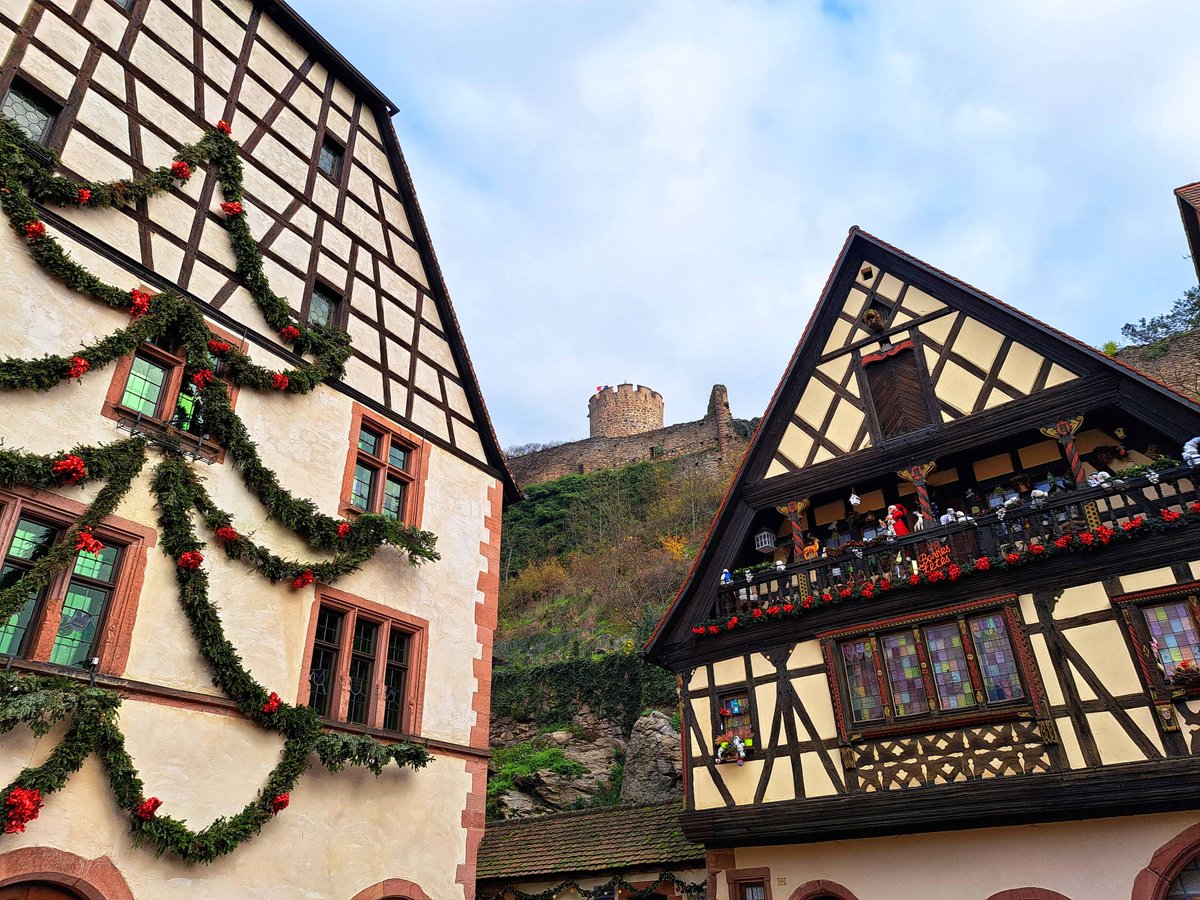 UnDestino_emm's tweet image. 🔴NUEVO POST🔴

🔶Kaysersberg🔶es uno de los más bonitos que puedes visitar durante una ruta por Alsacia 🇫🇷

🔗undestinoentremismanos.com/2023/01/que-ve…

@Alsace #Alsace #VisitAlsace