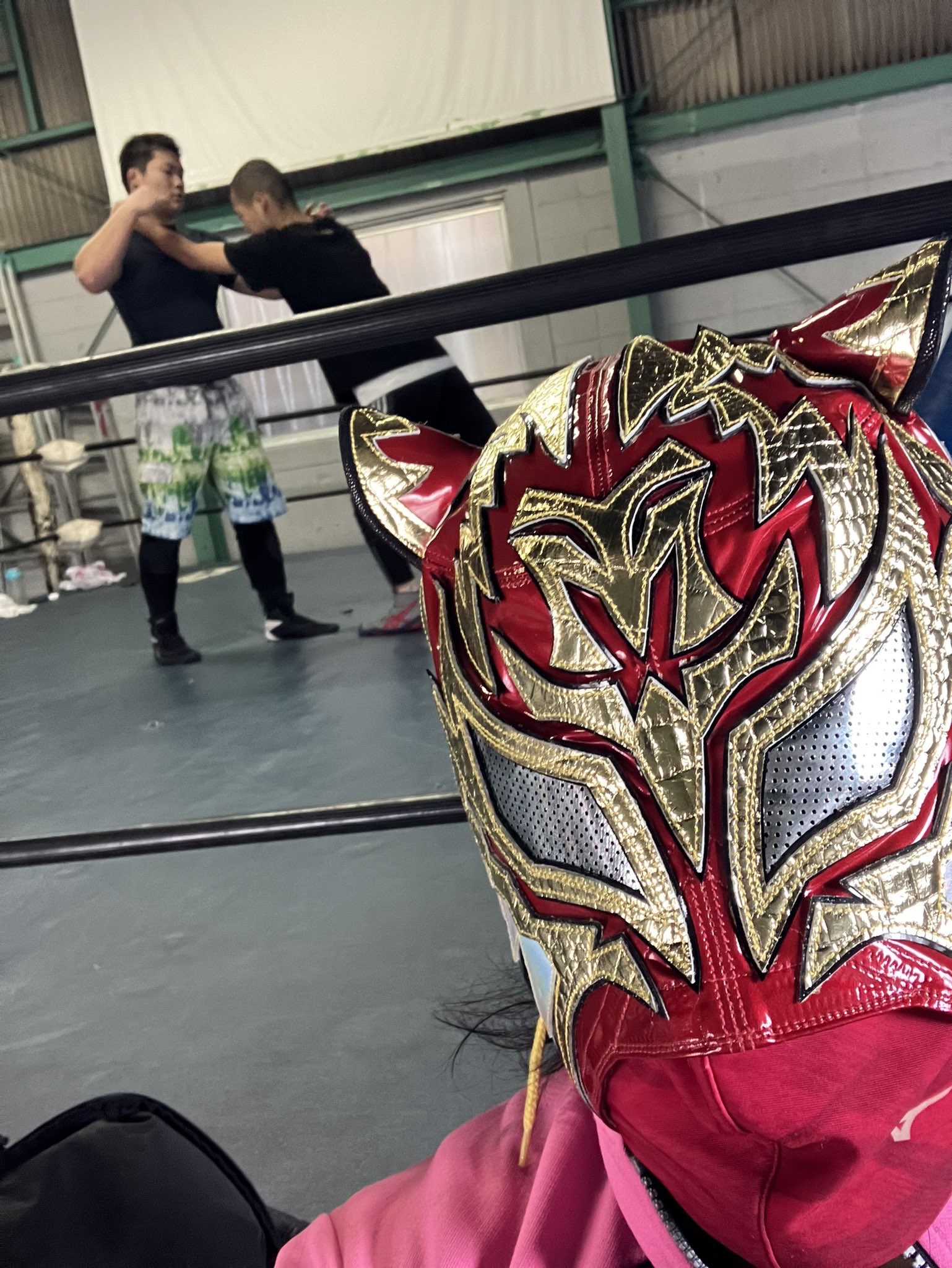 気質アップ 直筆サイン入り 大阪プロレス・タイガース マスク・試合用