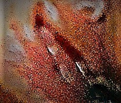 FeliciaSolaris's tweet photo. That which can unite us in the outer world authentically must absolutely follow an authentic inner pattern.

If it's chaos inside, it's chaos outside. If there is order inside, the order will also be the manifestation of the outside world.
#time #union #feliciagabrielaportase https://t.co/hcZP8Janwa