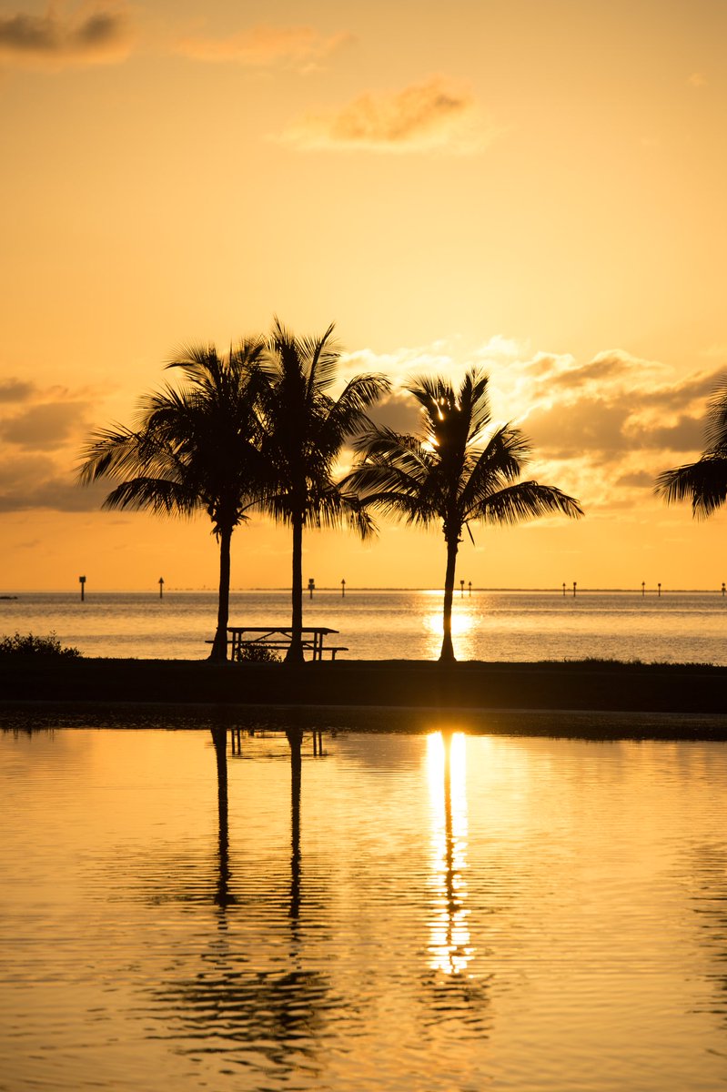 A beautiful start to a new day. 🌞
 
📍Homestead Bayfront Park