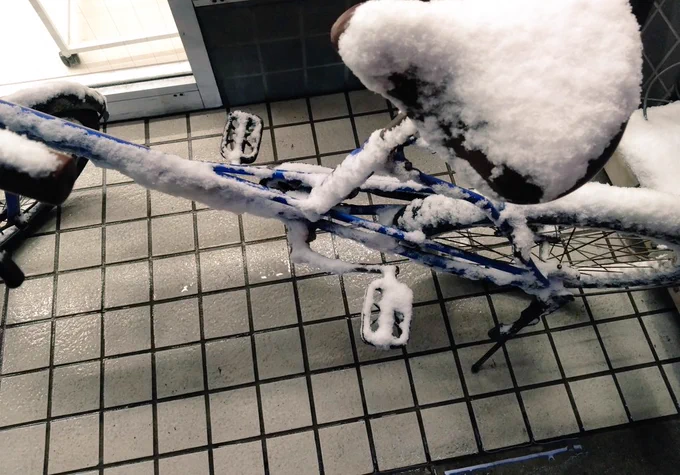 すごい!!!!!!!!!! 