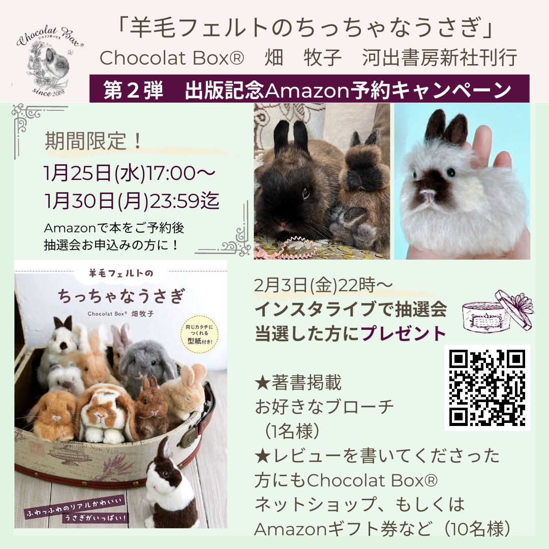 羊毛フェルト 作家様 うさぎ ラビット チョコレートカラー 大特価 www