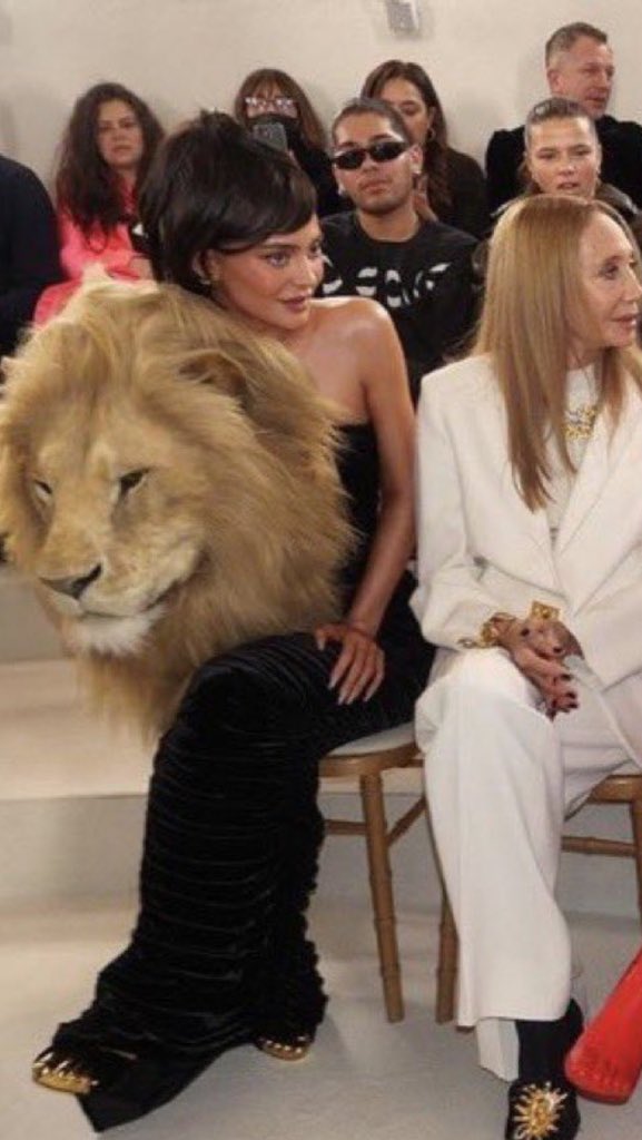 DreyfusJames's tweet photo. Yes, I KNOW this is faux fur &amp; I KNOW the world of fashion is often ridiculous &amp; plain stupid.

But, personally speaking, I find this repellently LOATHSOME. https://t.co/lp466osyc5