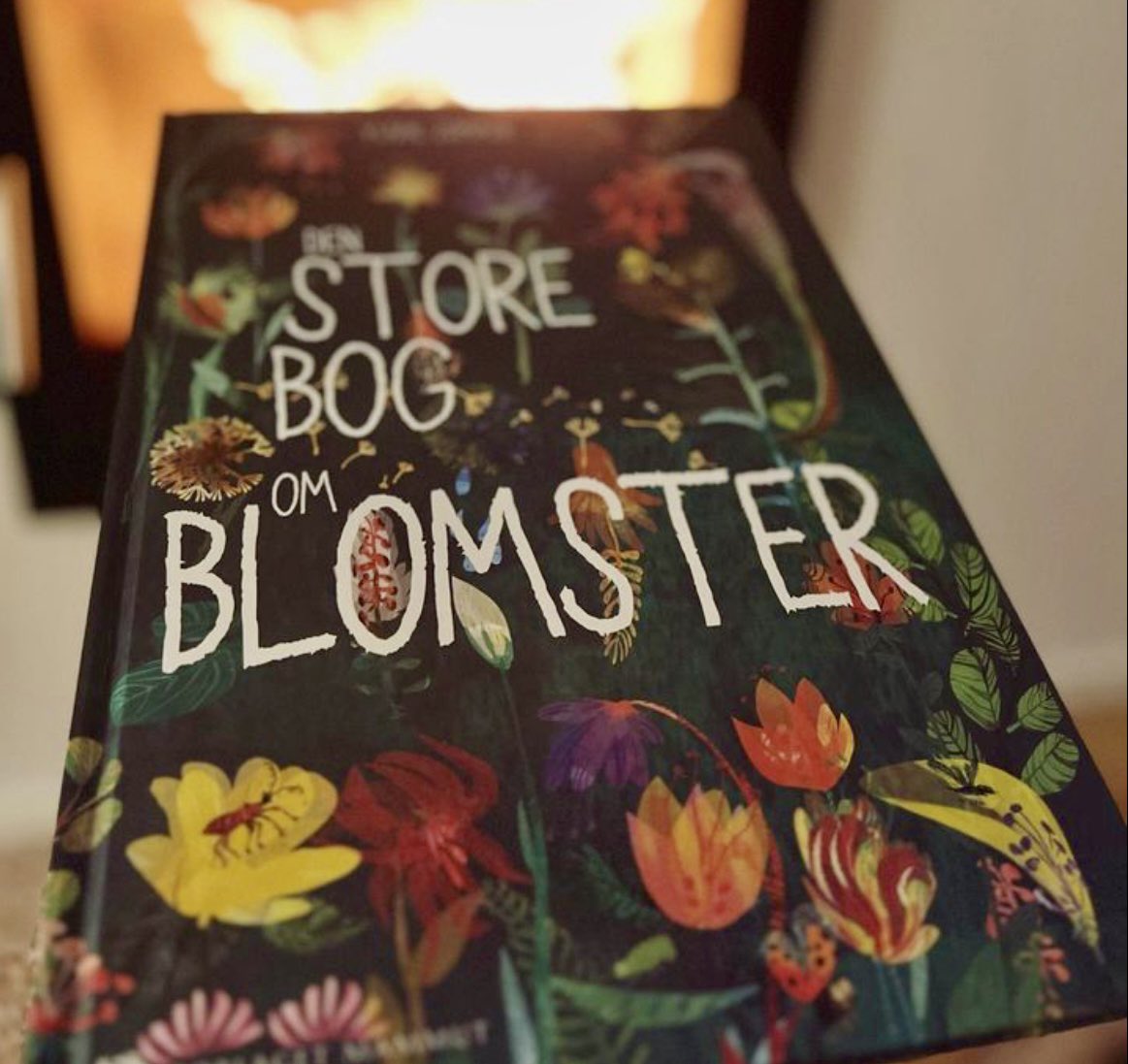 yuvalzommer's tweet photo. This is Luna who is looking forward to spring , with her favourite current book (Danish edition of ‘The Big Book of Blooms’) and her cat. She asked if I would post this. 😊
#kidsneednature #TheBigBookOfBlooms #waitingforspring https://t.co/PrKDktTcOY