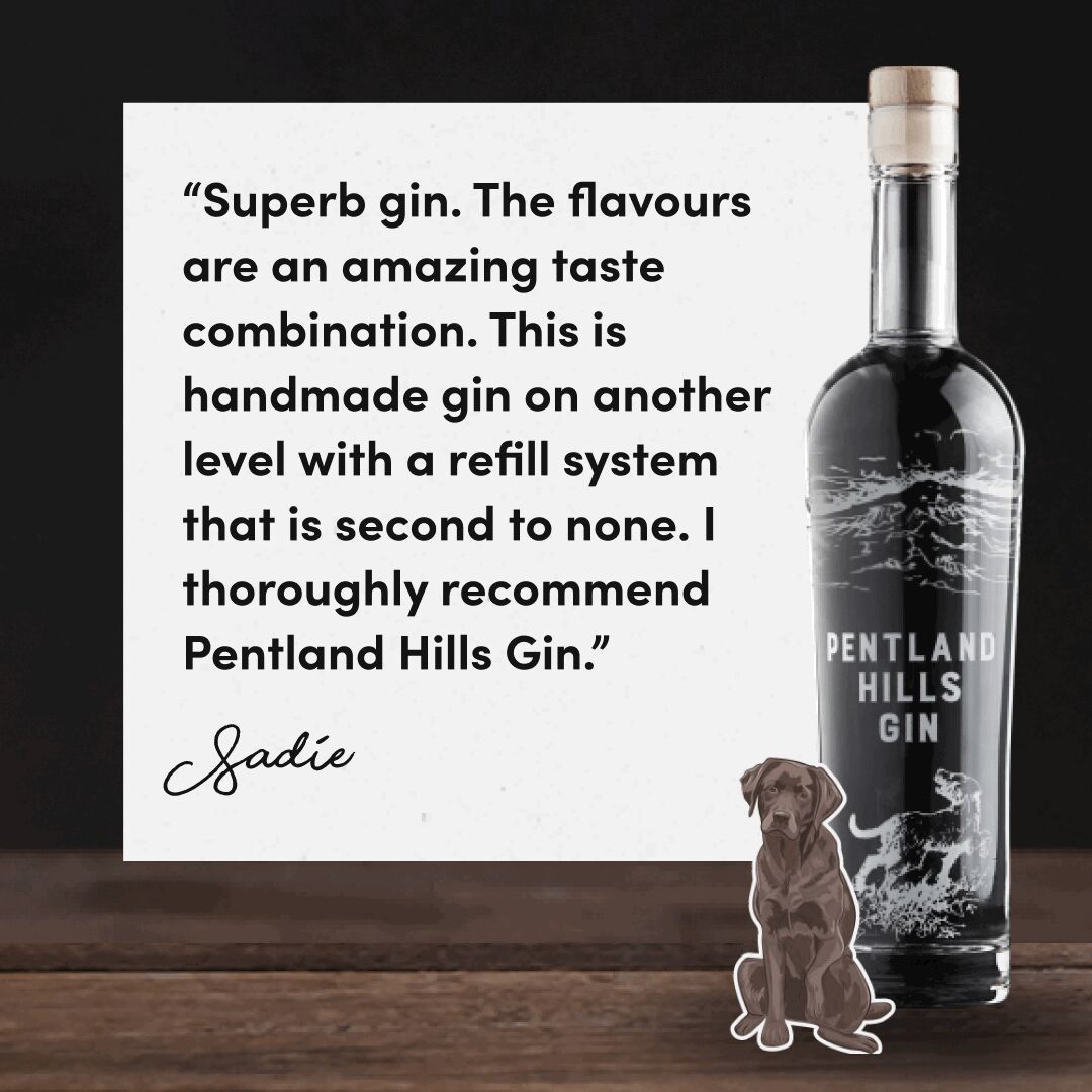 It's Testimonial Tuesday! Thank you to Sadie for your lovely and kind words, we're always delighted to hear of our customers enjoying their Pentland Hills Gin experiences! ⭐

#pentlandhills #pentlandhillsgin #gin #ginoclock #ginlovers #gindrinker #testimonial #testimonialtuesday
